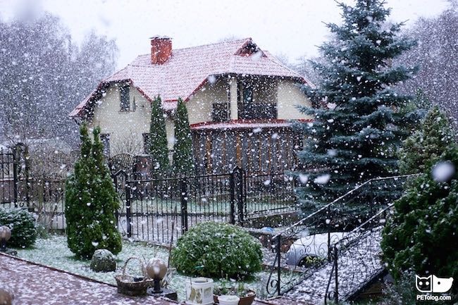 Happy New Year 2016 Happy New Year 2016