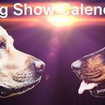 dog show calendar