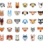 Dog titles, abbreviations & explanations